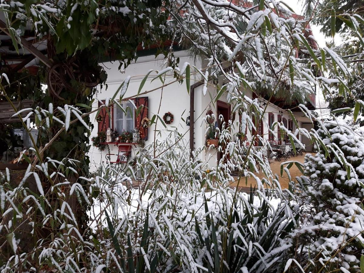 Garten Vendeghaz Eger Exterior photo