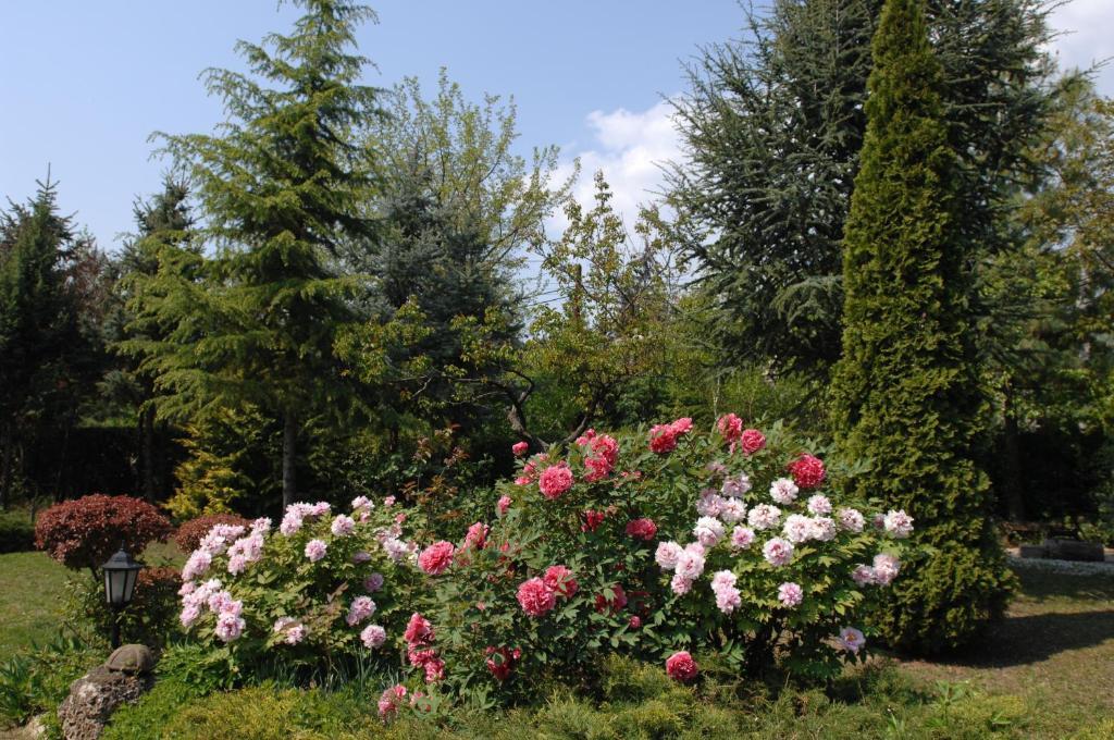 Garten Vendeghaz Eger Exterior photo