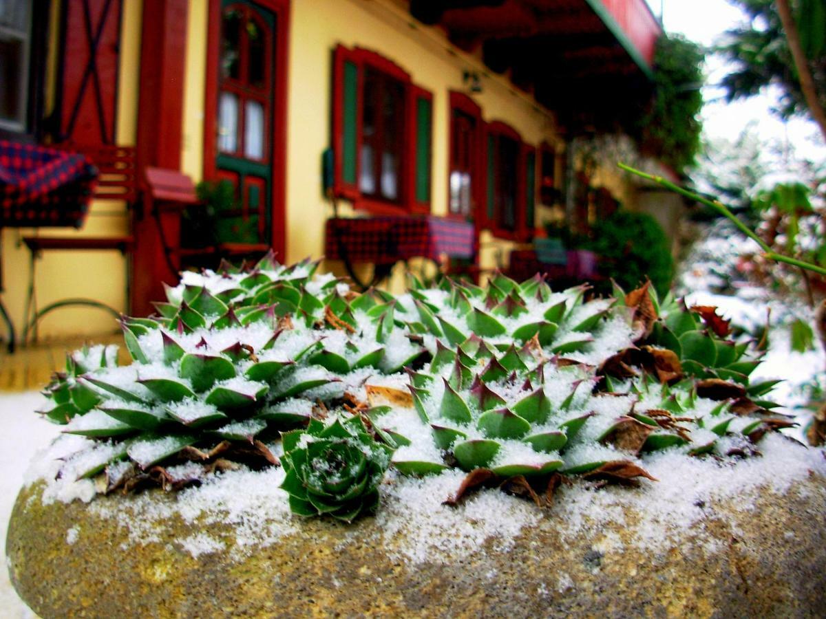 Garten Vendeghaz Eger Exterior photo